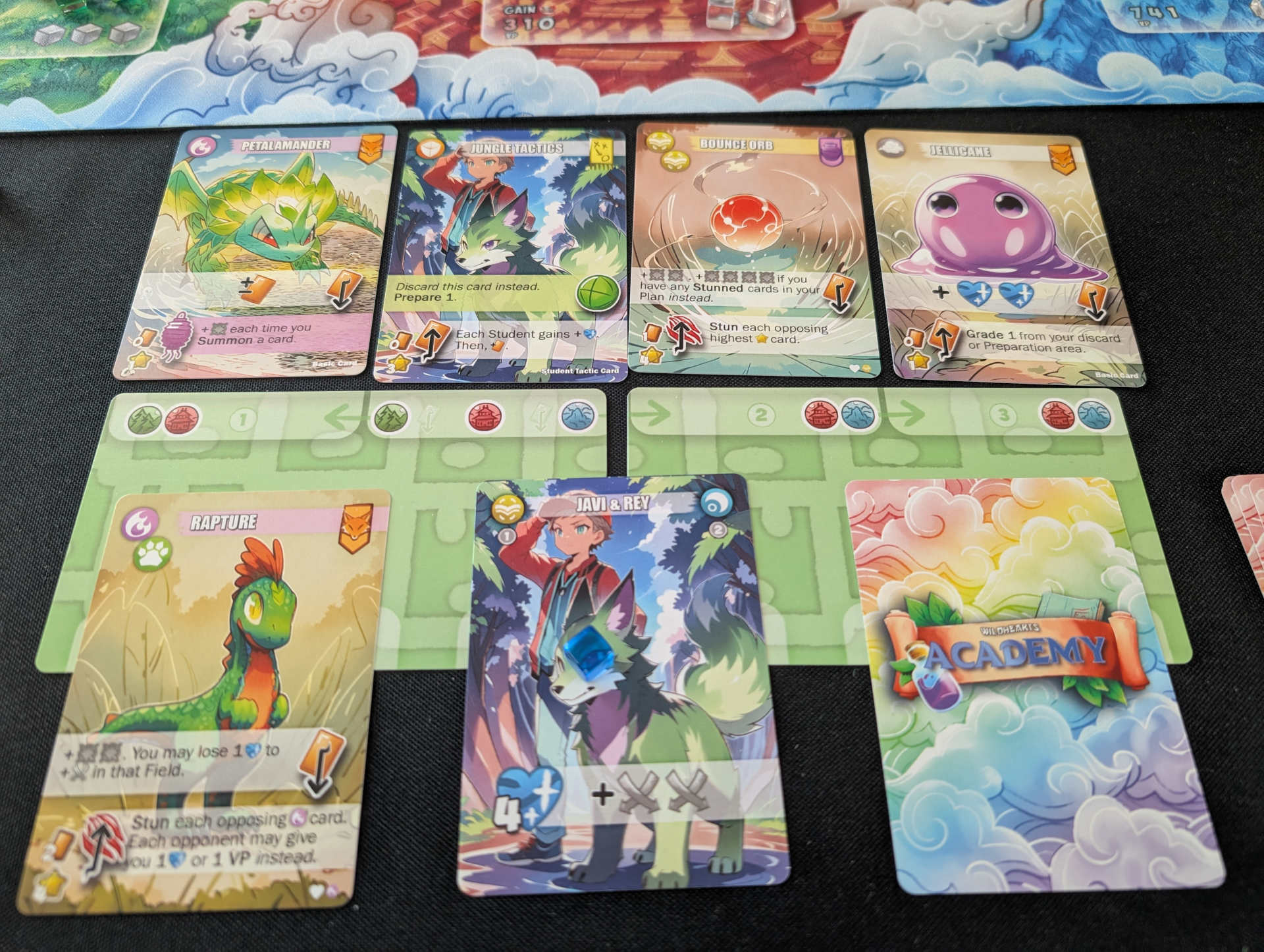 Wildhearts Academy Player plan