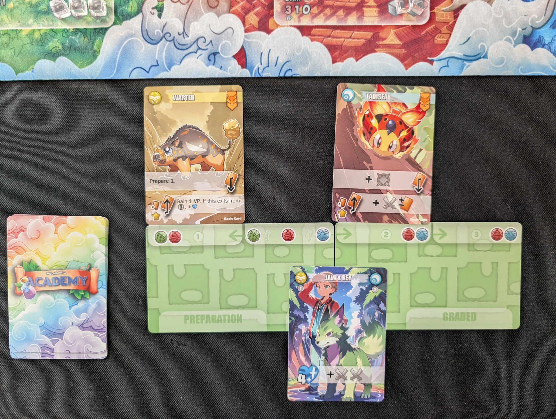 Wildhearts Academy Player plan